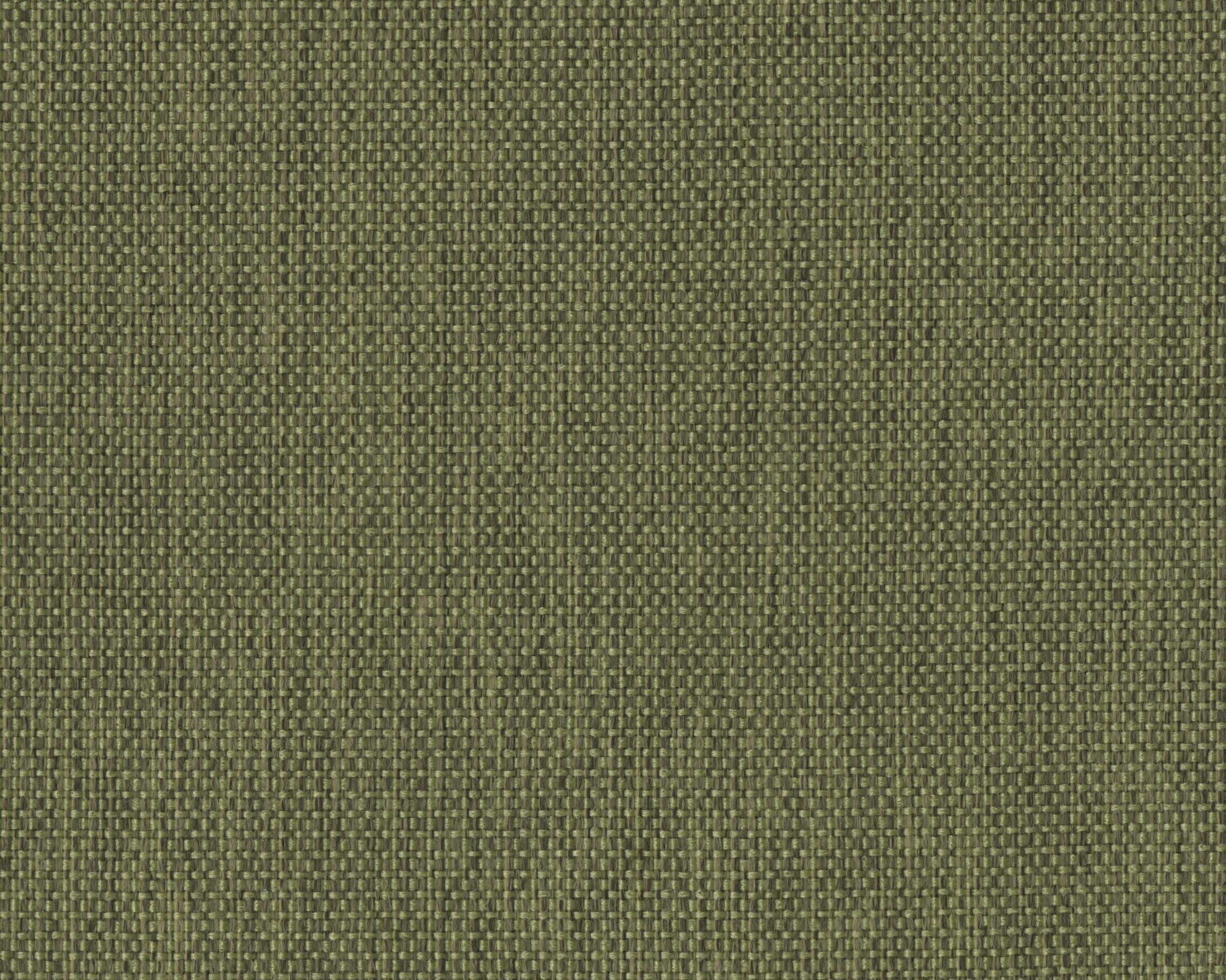 433 | Polo