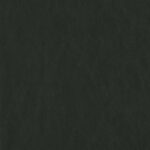 440 | Moderna FR