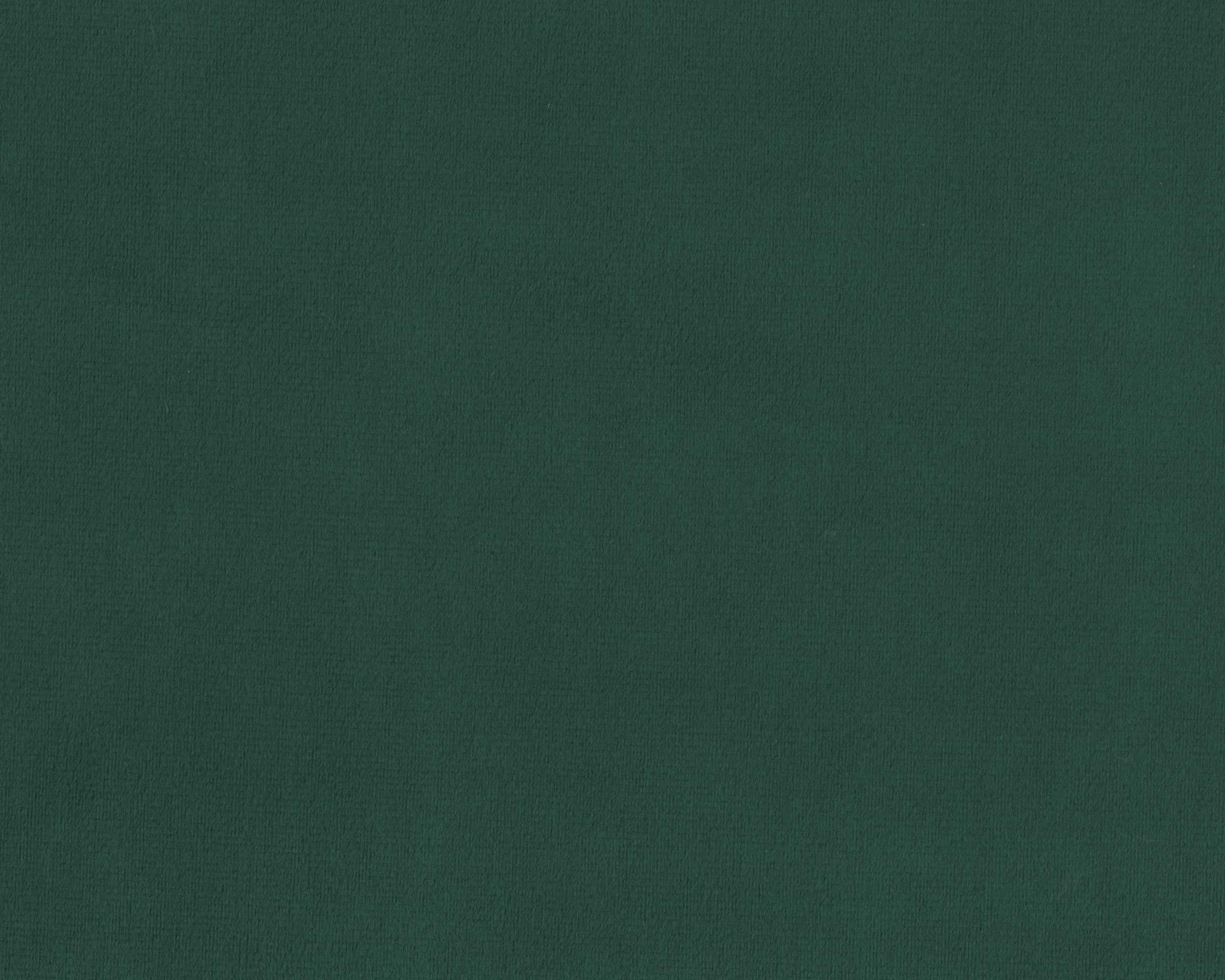 445 | Tiger
