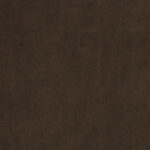 445 | Cavalli