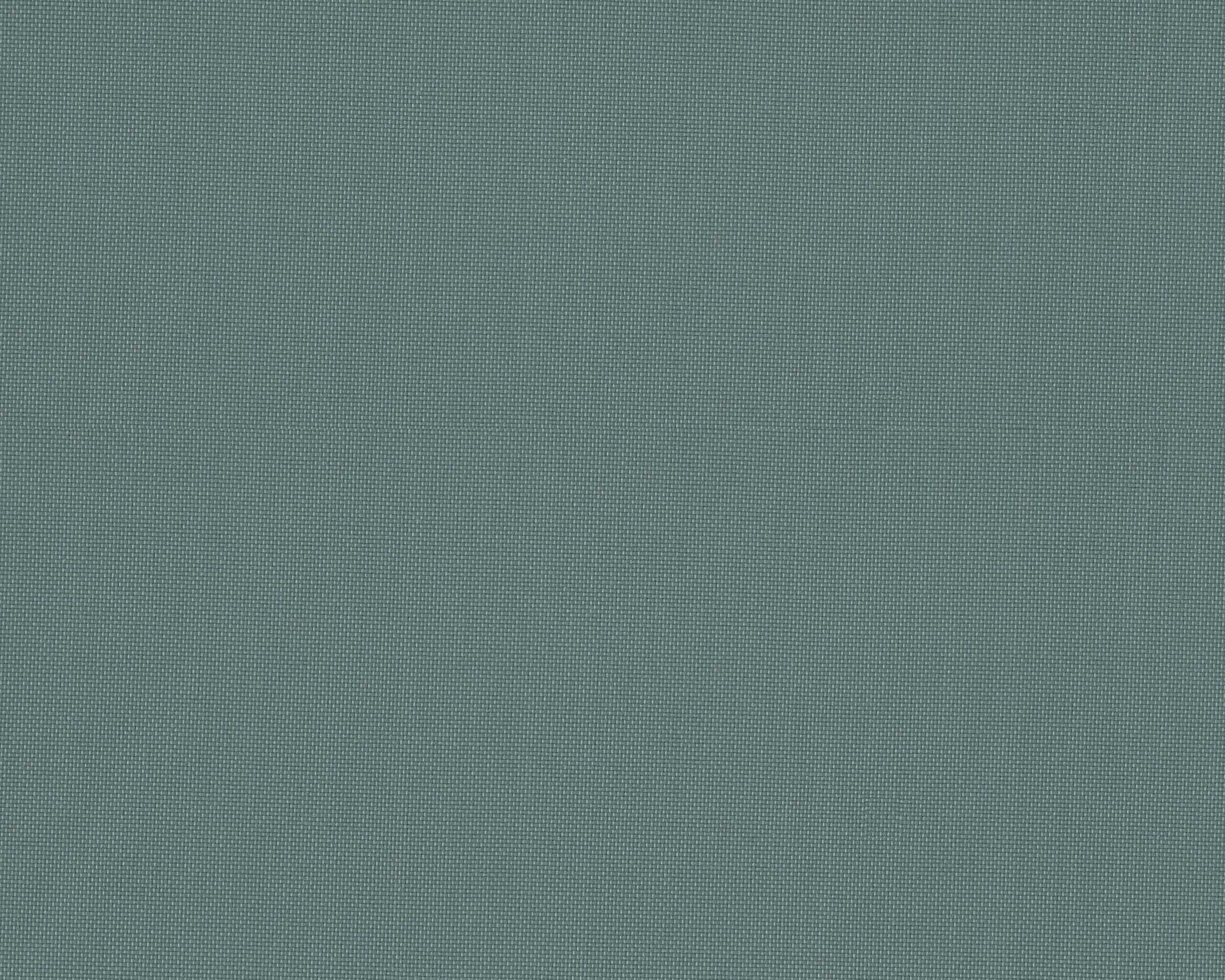 450 | Summer Plain