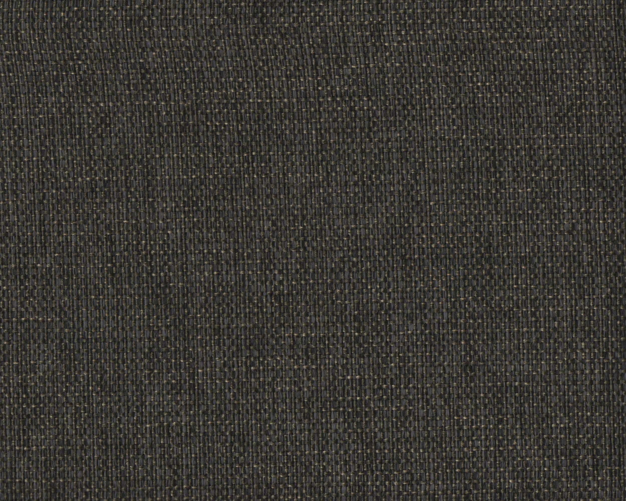460 | Polo