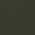 460 | Diana FR