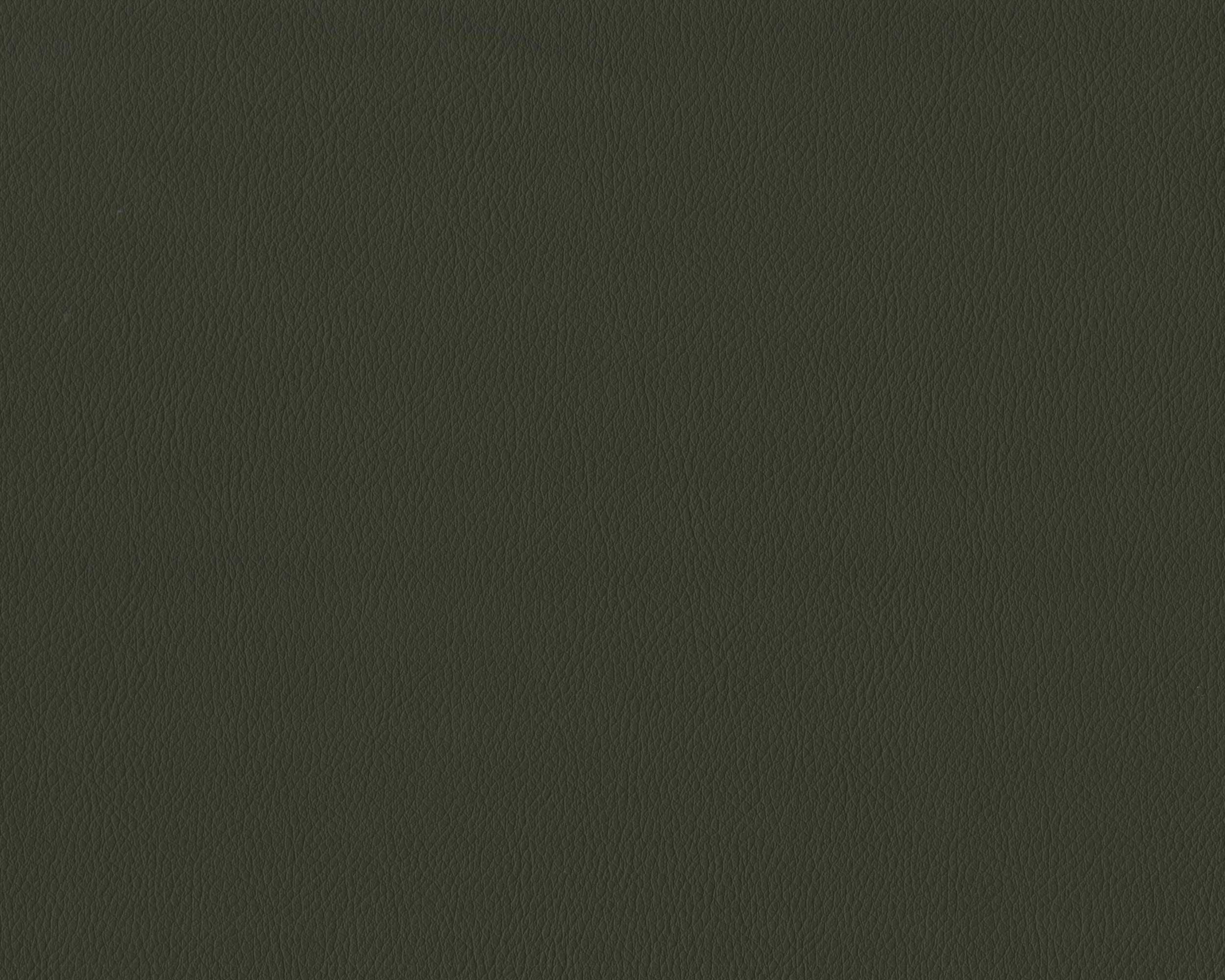 460 | Diana FR