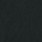 486 | Moderna FR