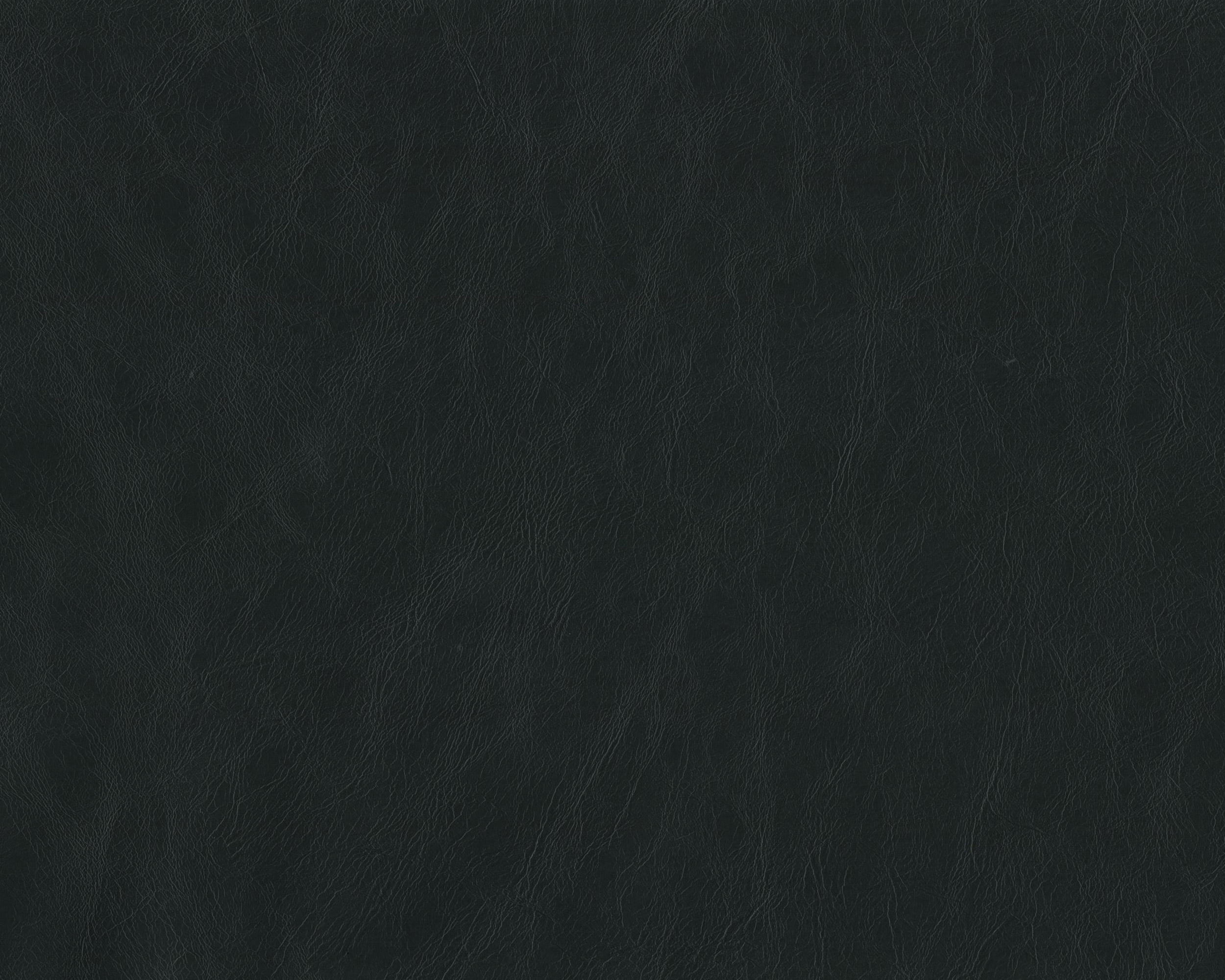 486 | Moderna FR