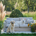 2 Seats Sofa 186 cm | 2 Seater