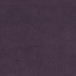 584 | Violet