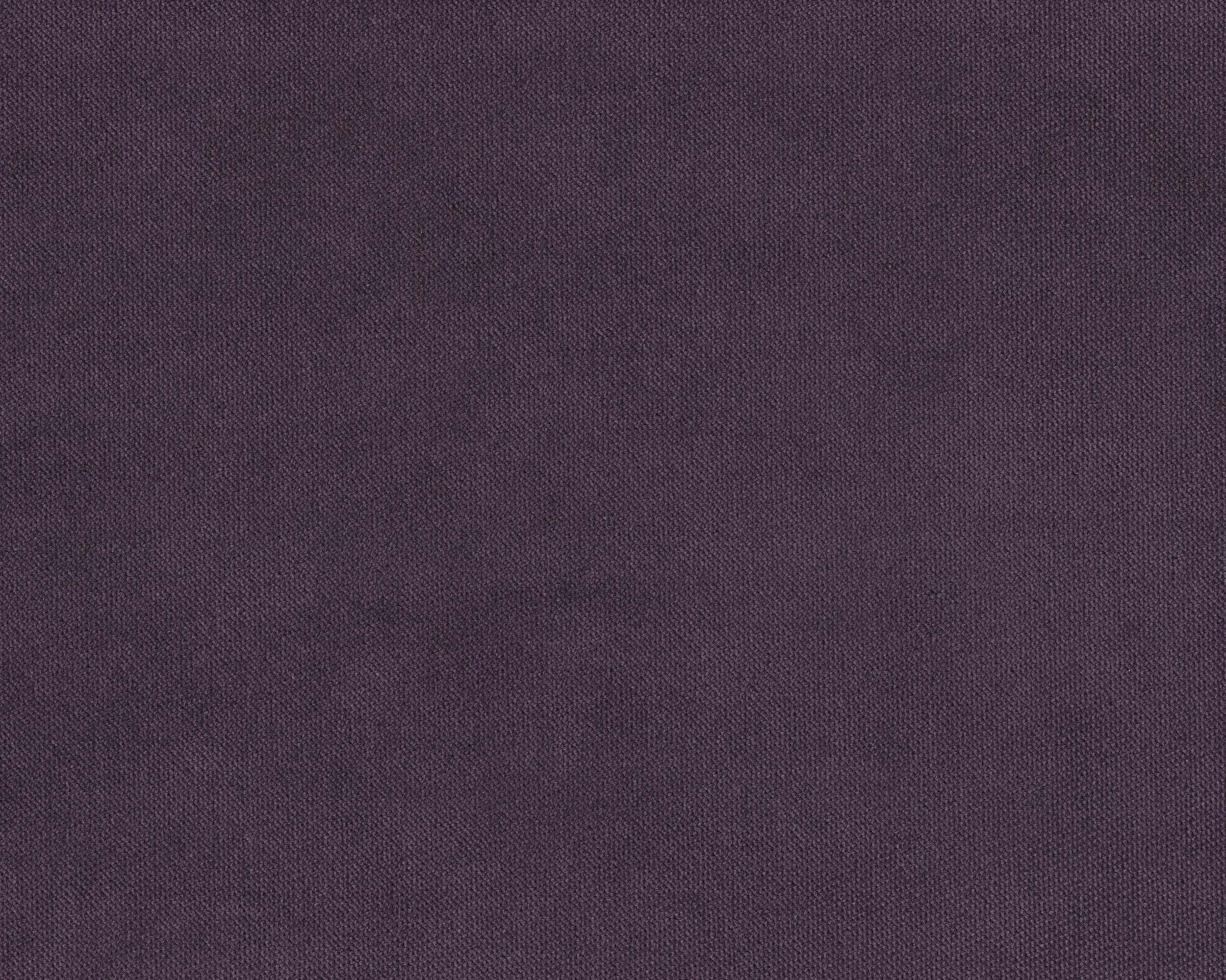 584 | Violet