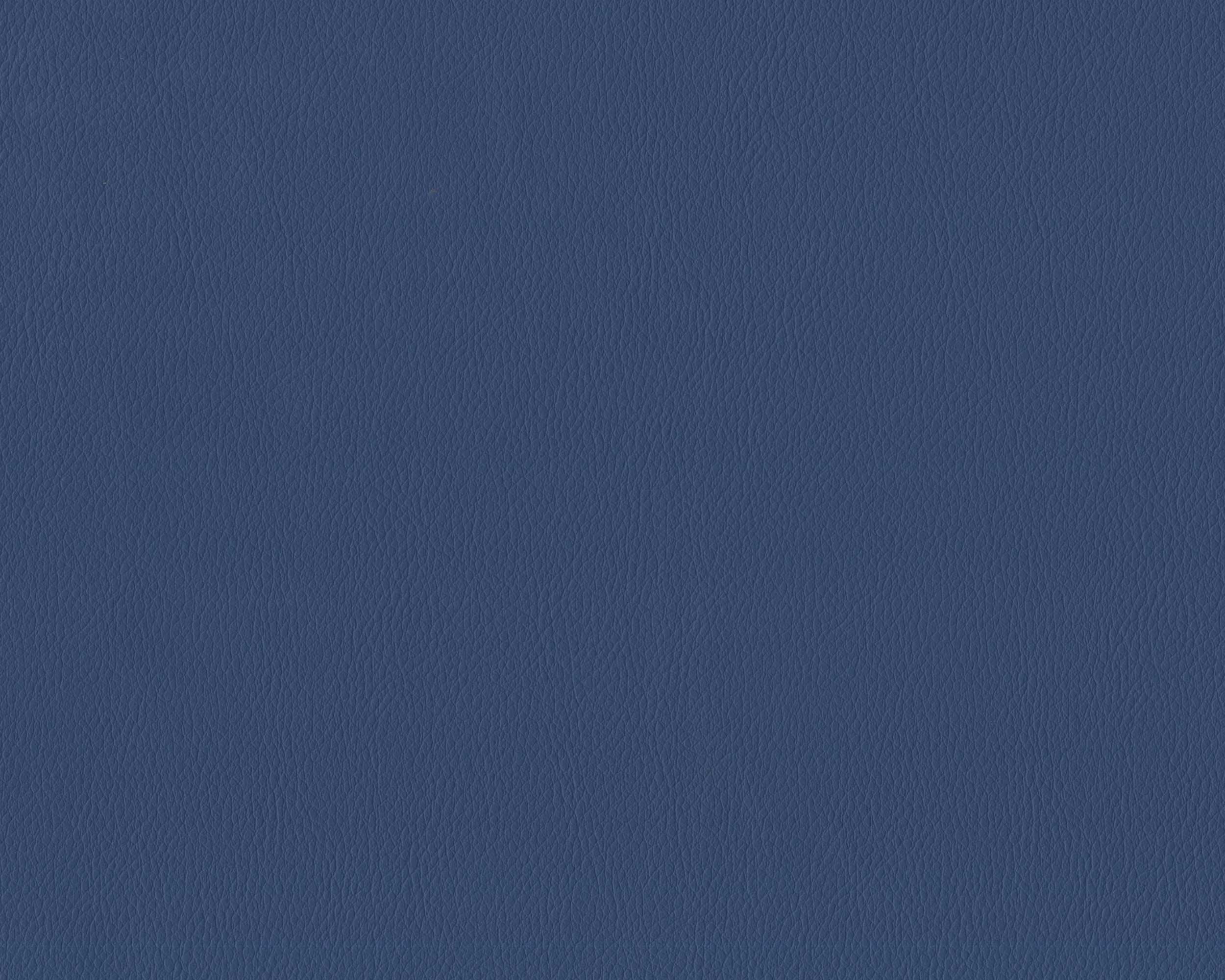 586 | Diana FR