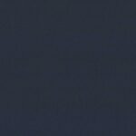 590 | Diana FR