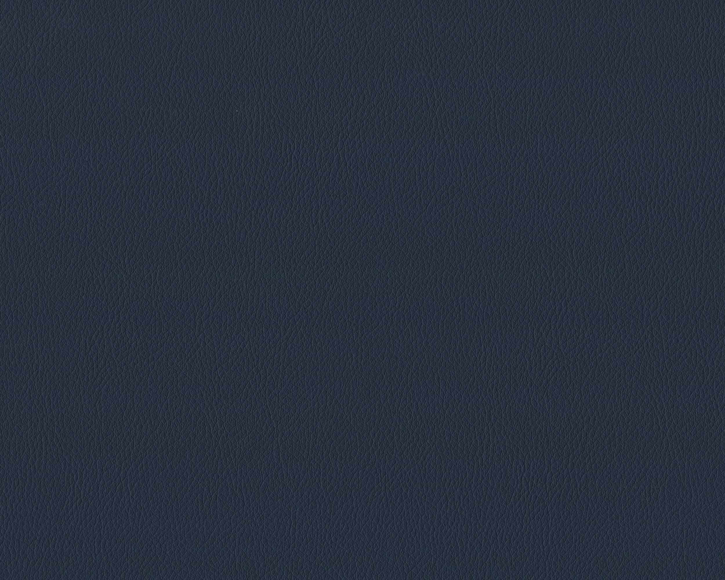 590 | Diana FR