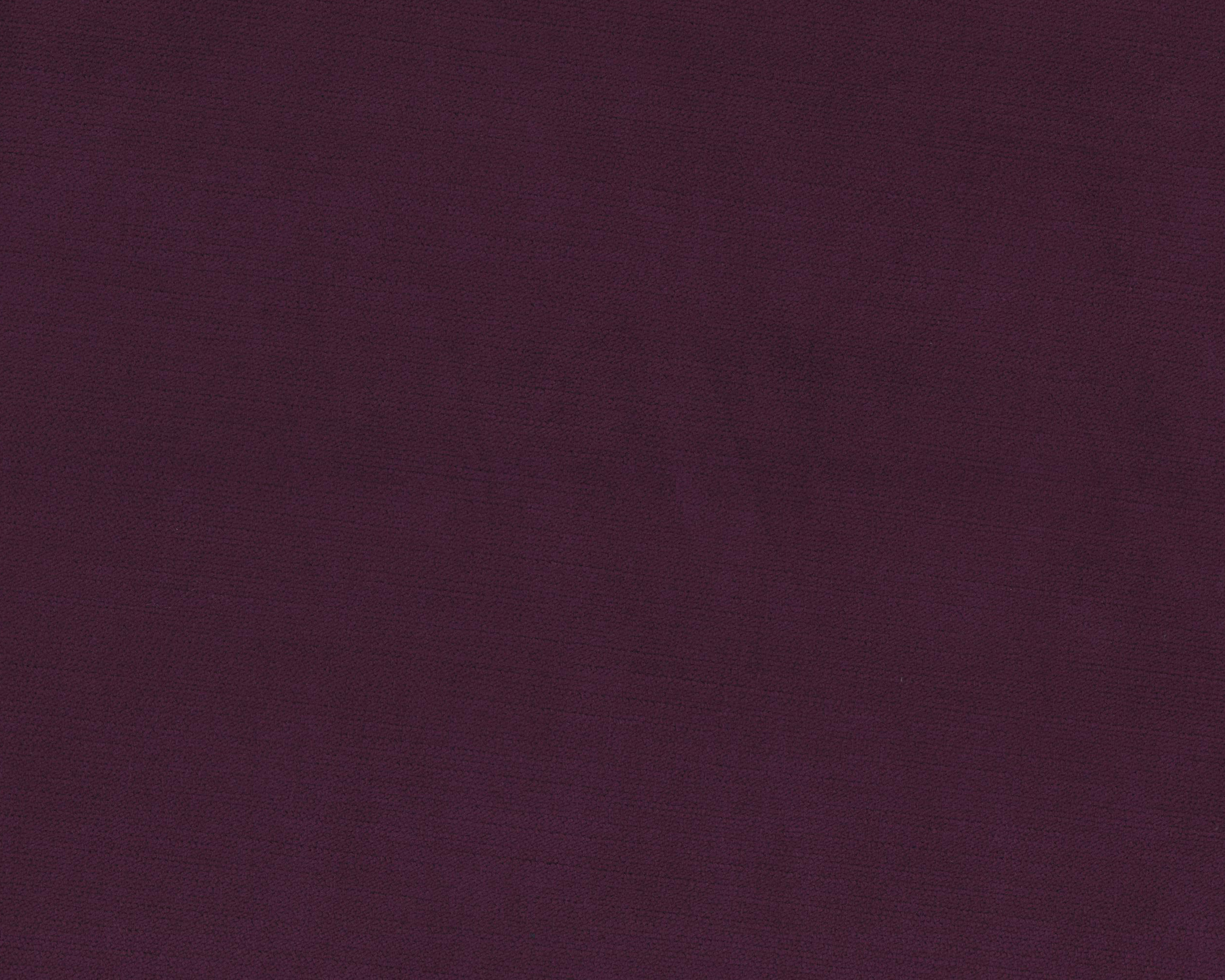 590 | Vista