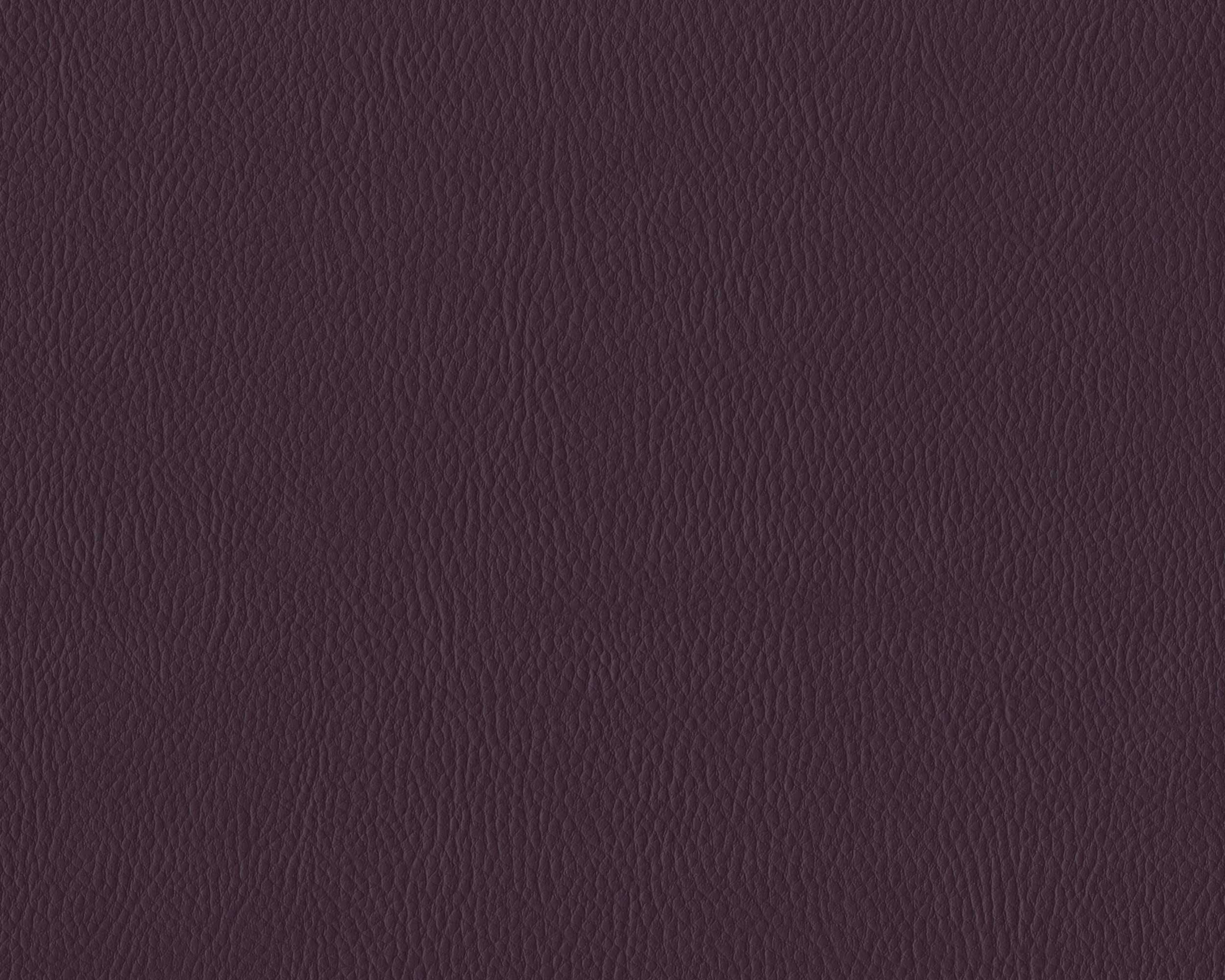 595 | Sin Visage