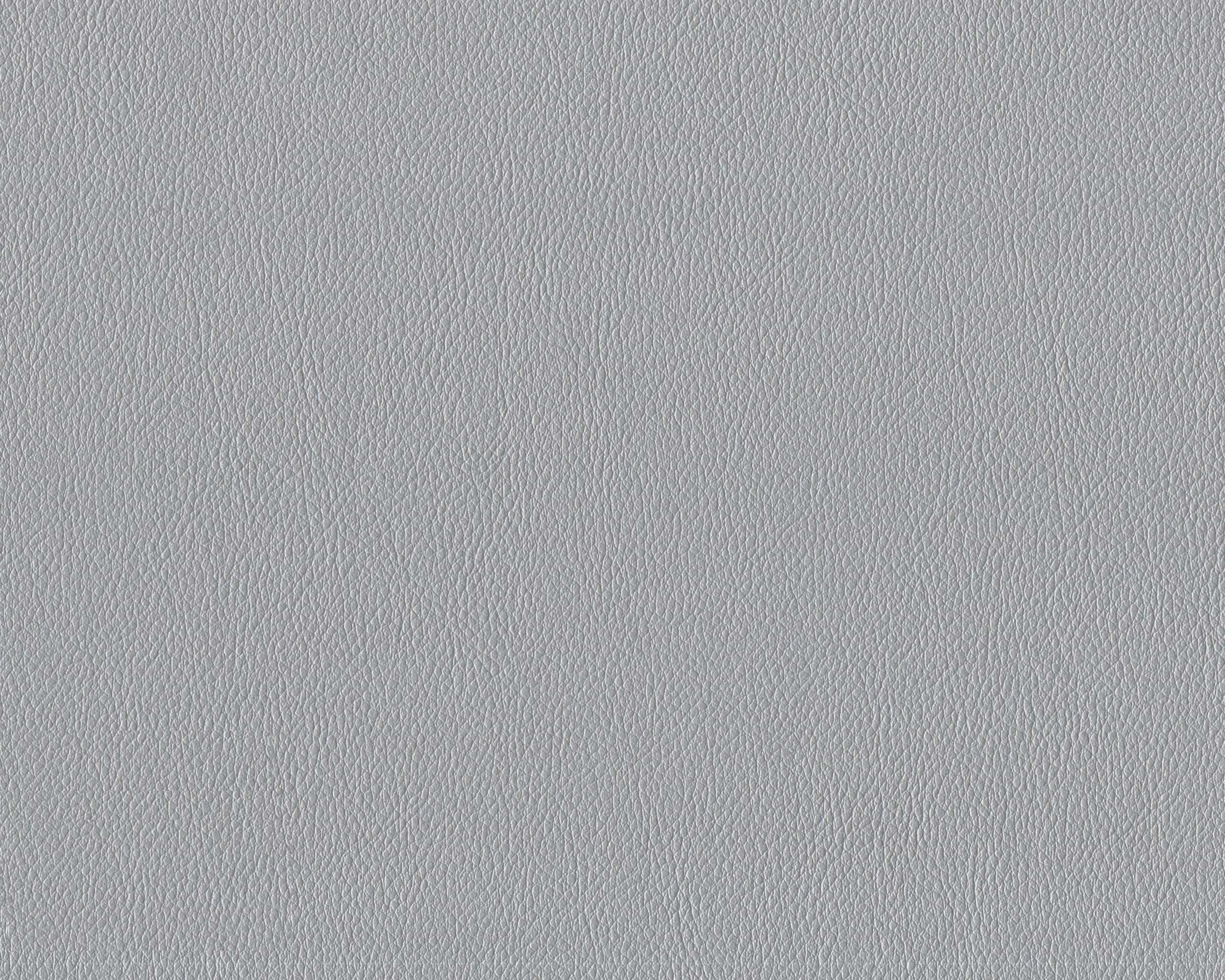 600 | Diana FR