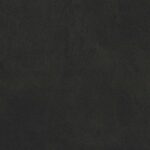 690 | Ramon