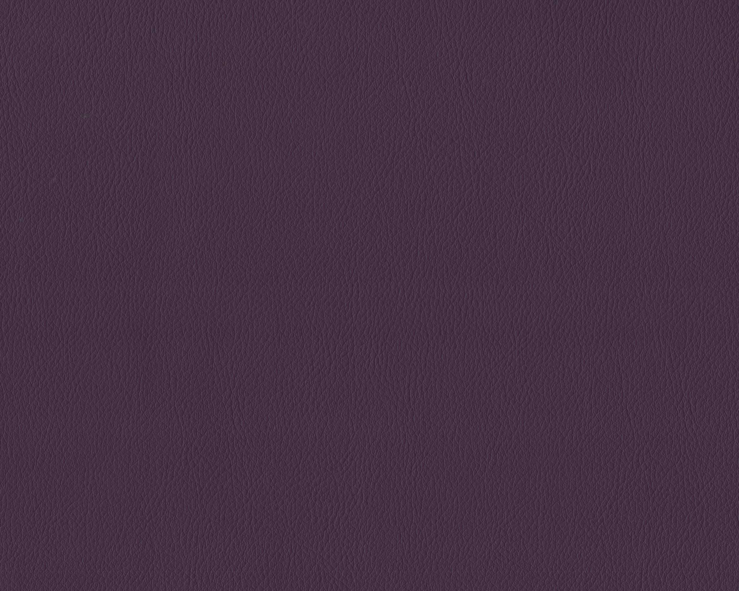 760 | Diana FR