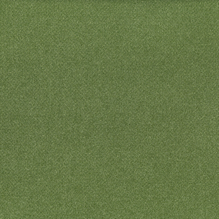 Moss