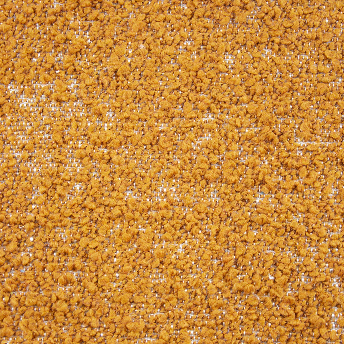 Pumpkin | Amadeus