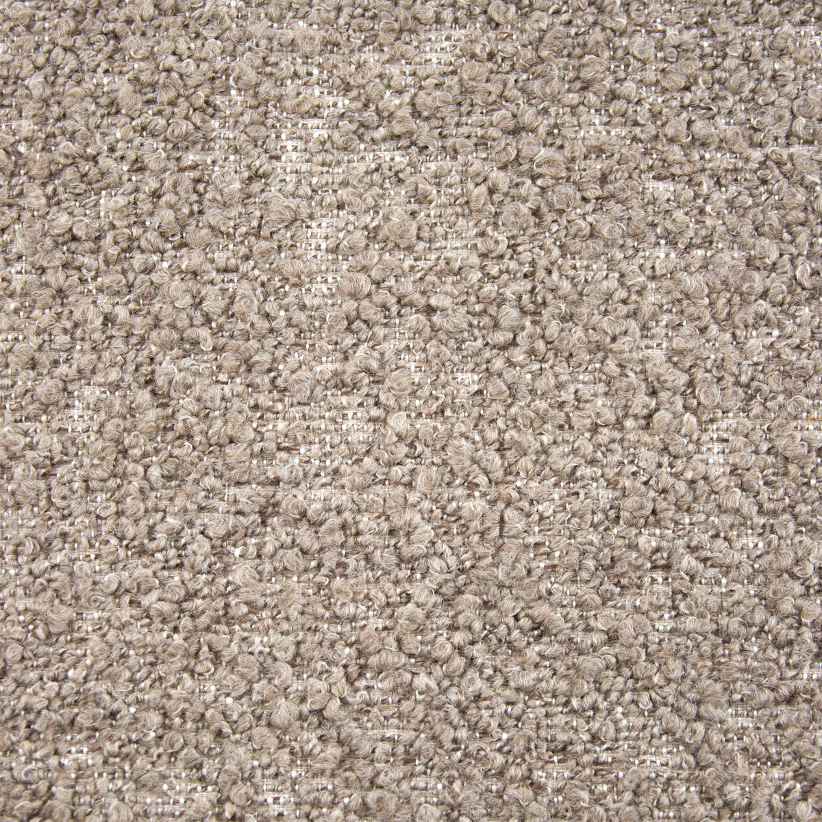 Taupe | Amadeus