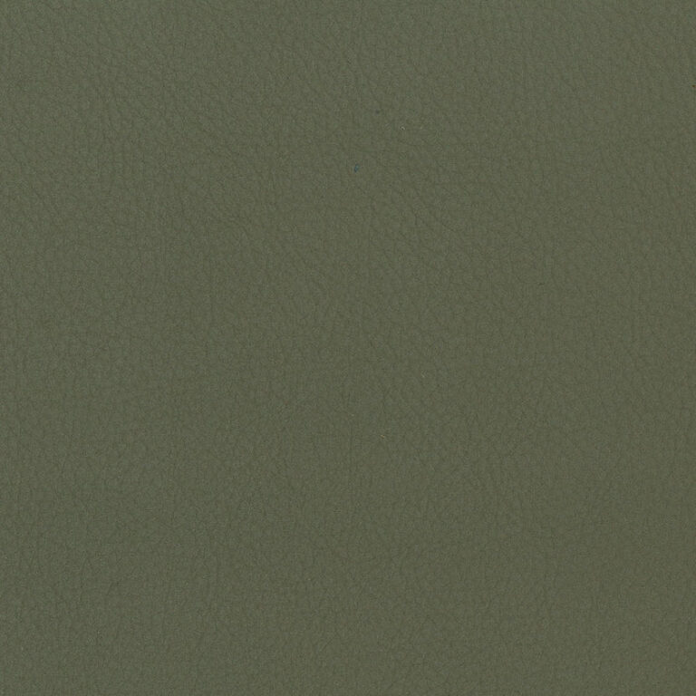 Army