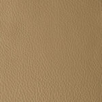 Khaki | Atlantida Hc