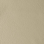 Mouton | Atlantida Hc