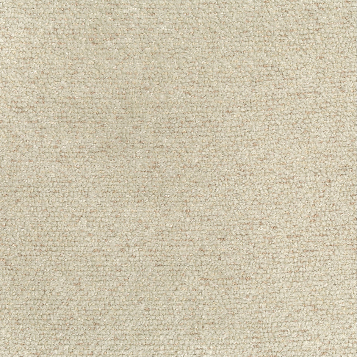 Almond | Venus