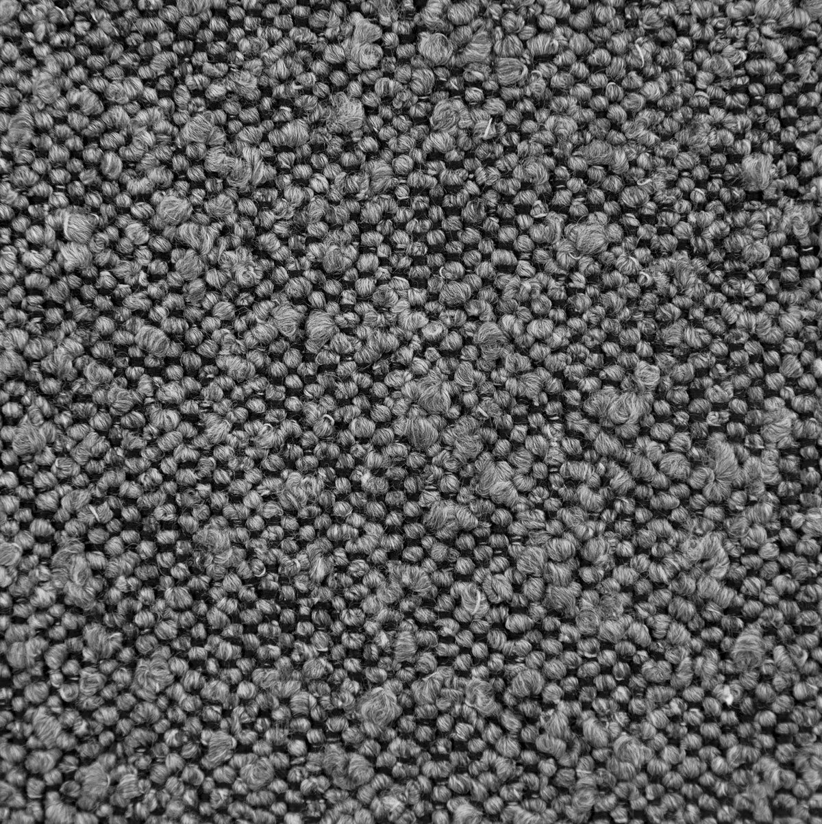 Graphite 11 | Ascot