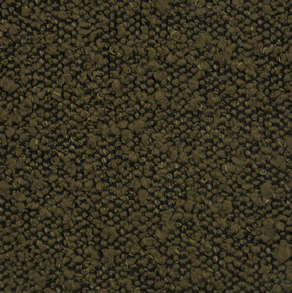 Olive Green | Ascot
