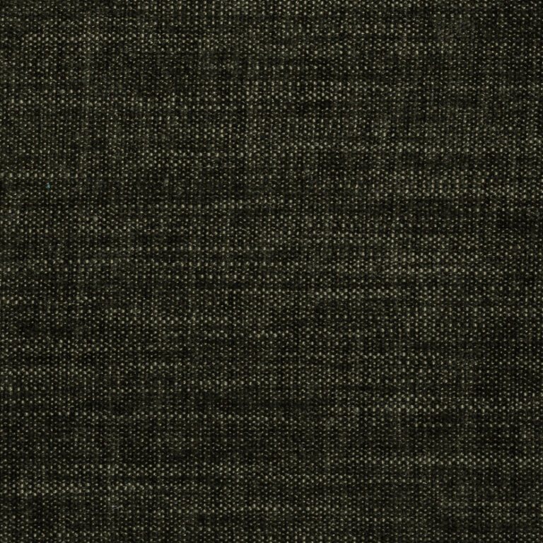 Forest 12