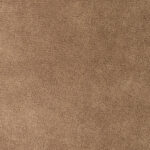 Camel | Brutus