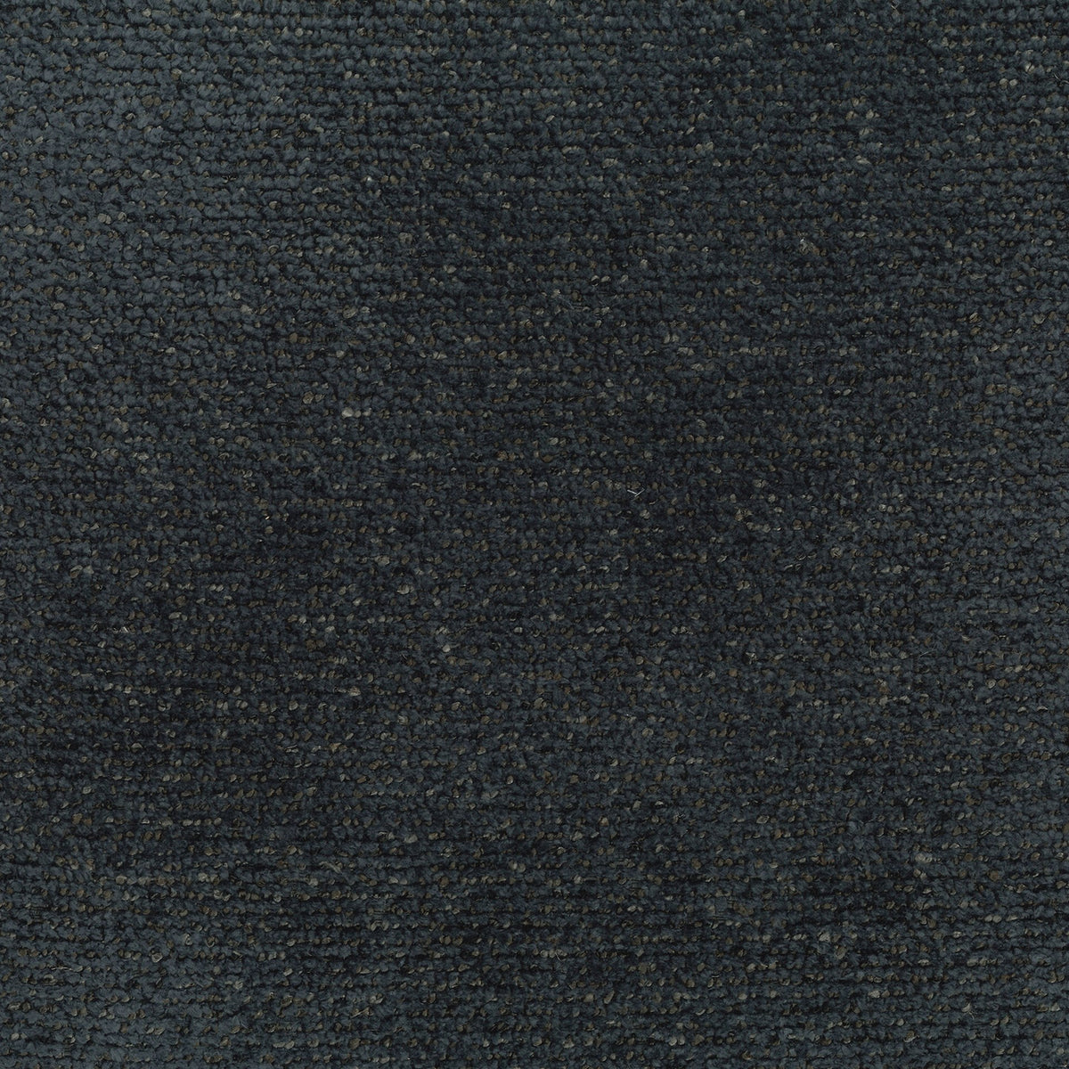 Black | Venus