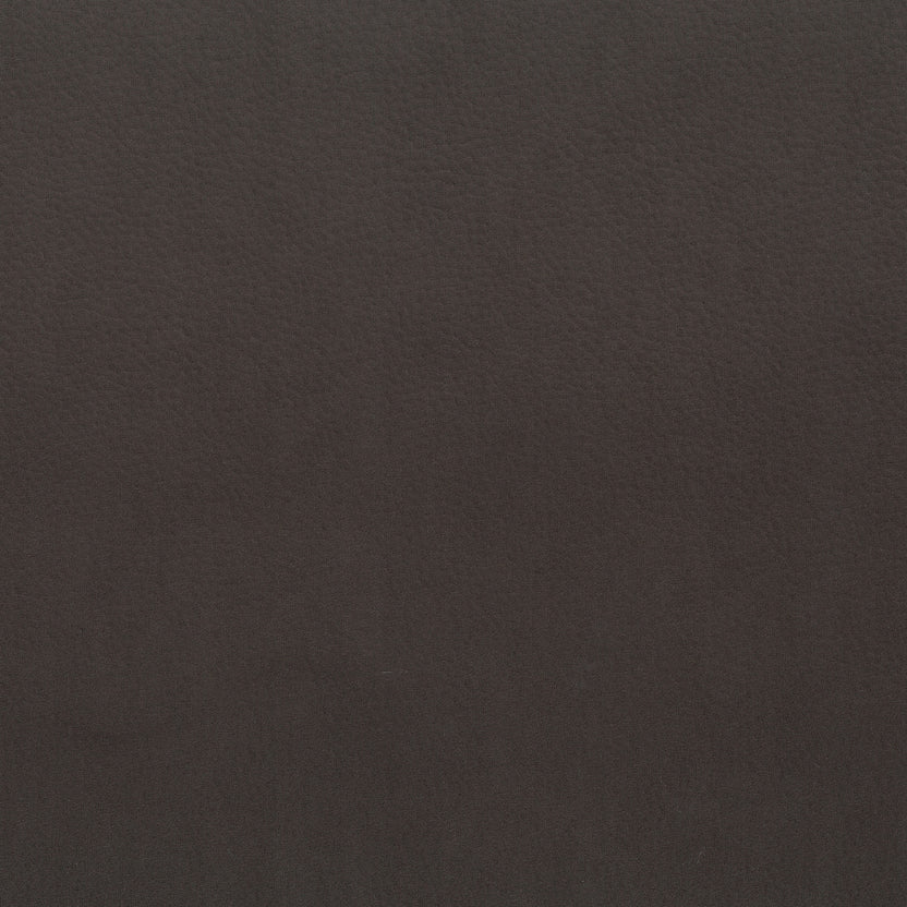 Ebony | Bull