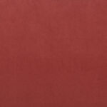 Marsala | Bull