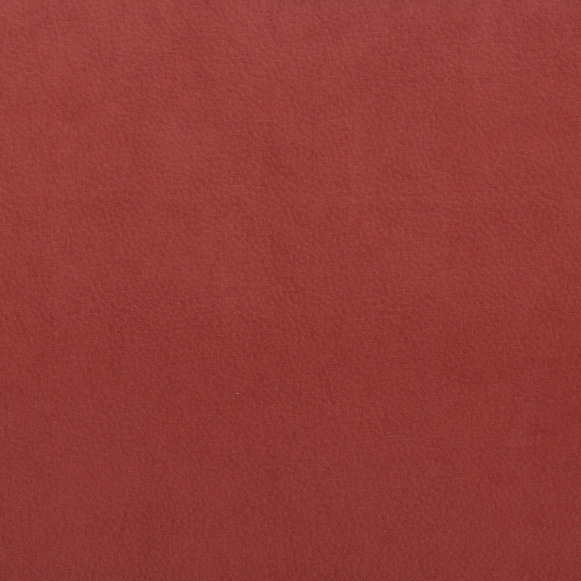 Marsala | Bull
