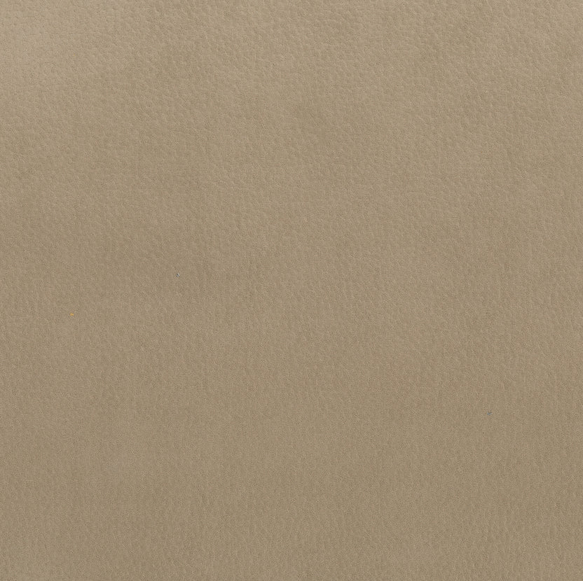 Camel | Bull