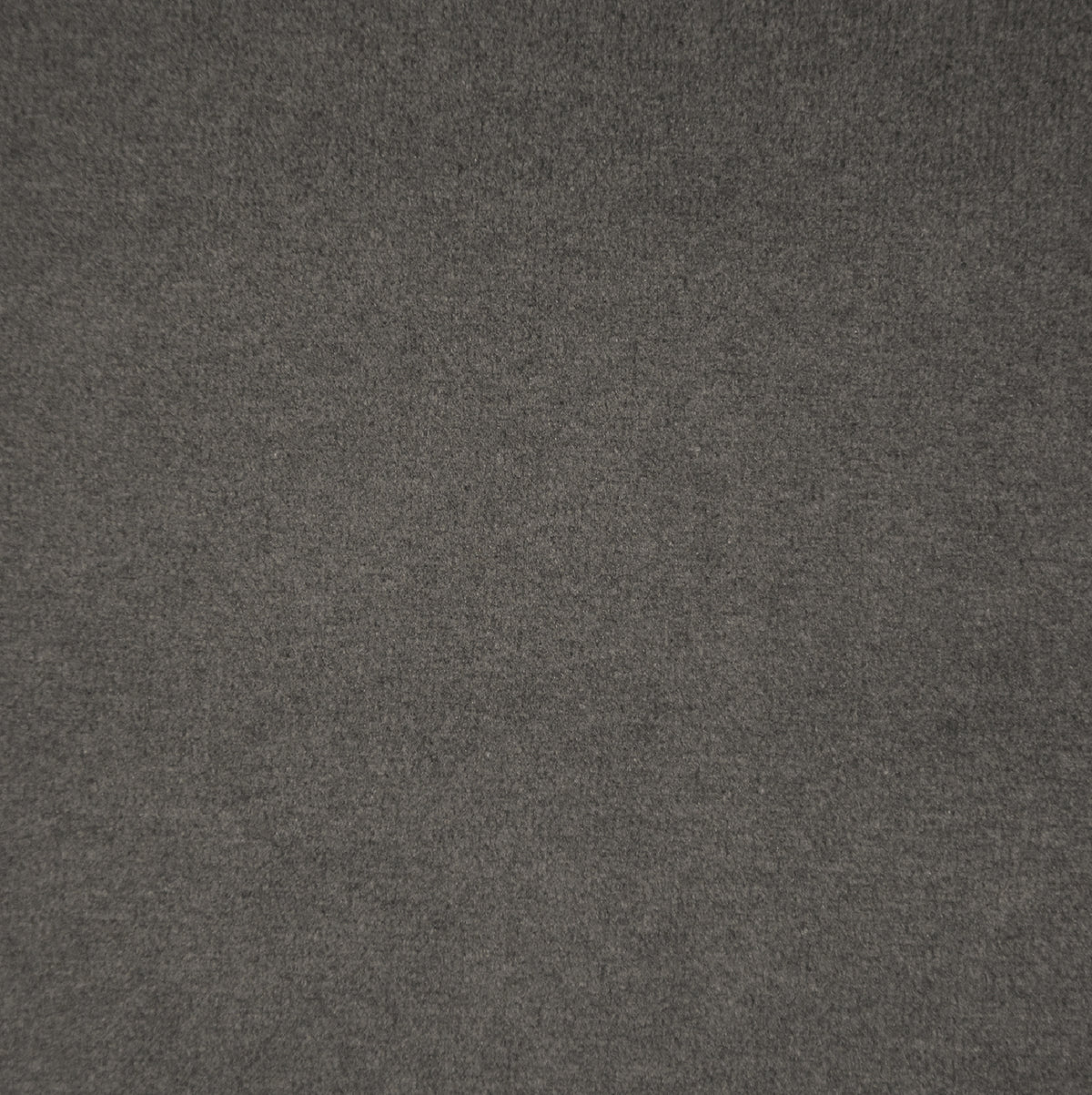 Anthracite | Casino