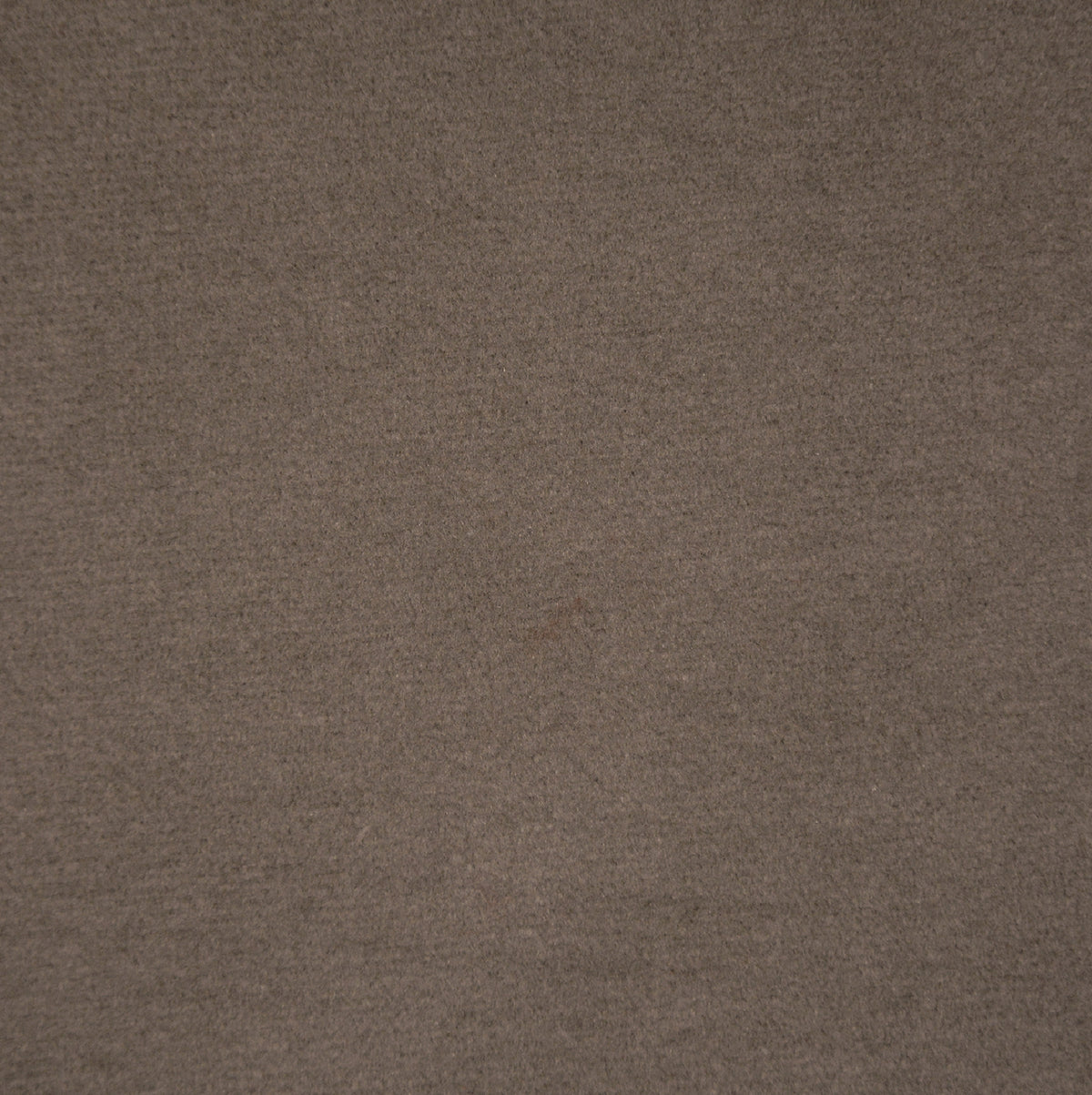 Taupe | Casino