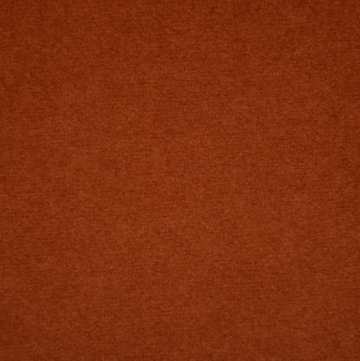 Terracotta | Casino