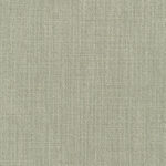 Bamboo | Chloe