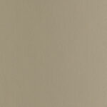 Beige | Chronus