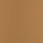 Camel | Chronus