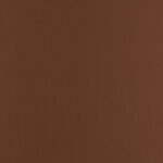 Dark Camel | Chronus