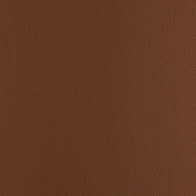 Dark Camel