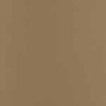 Khaki | Chronus