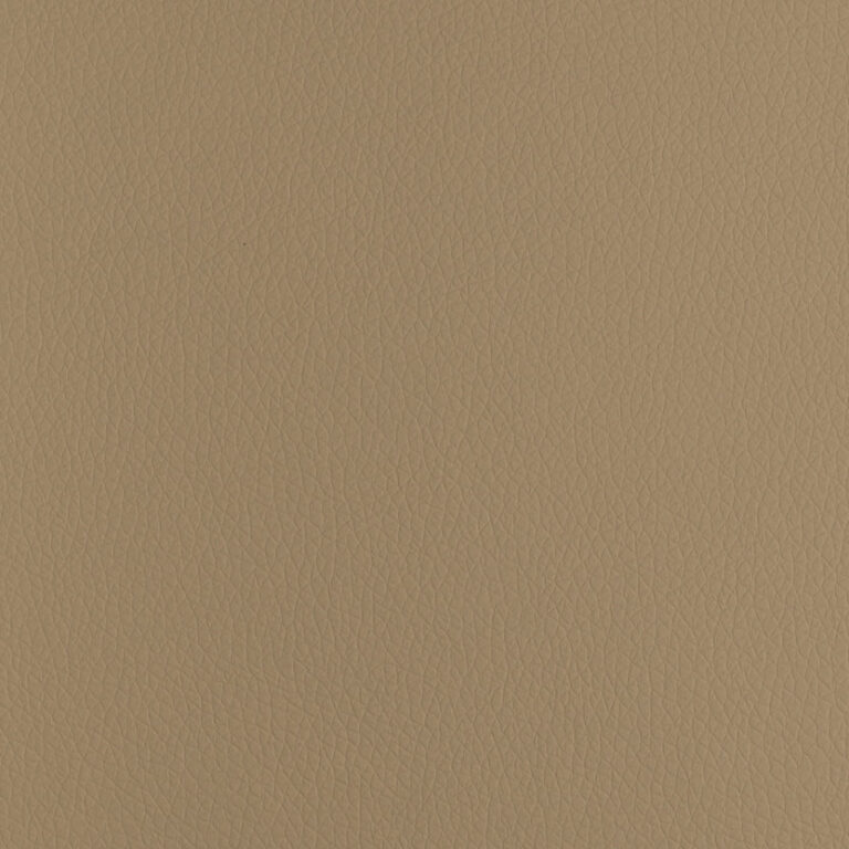 Light Camel