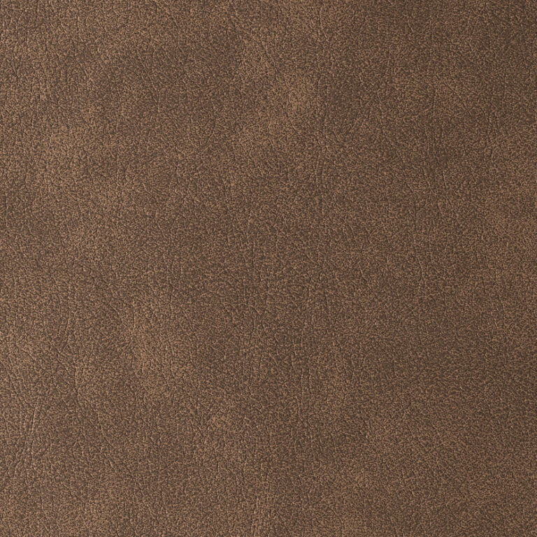 Terra