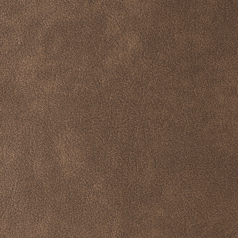 Terra