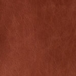 Brandy | Country Hc
